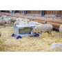 Hooiruif op wiel voor schapen