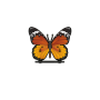 Onderzetbord vlinder oranje